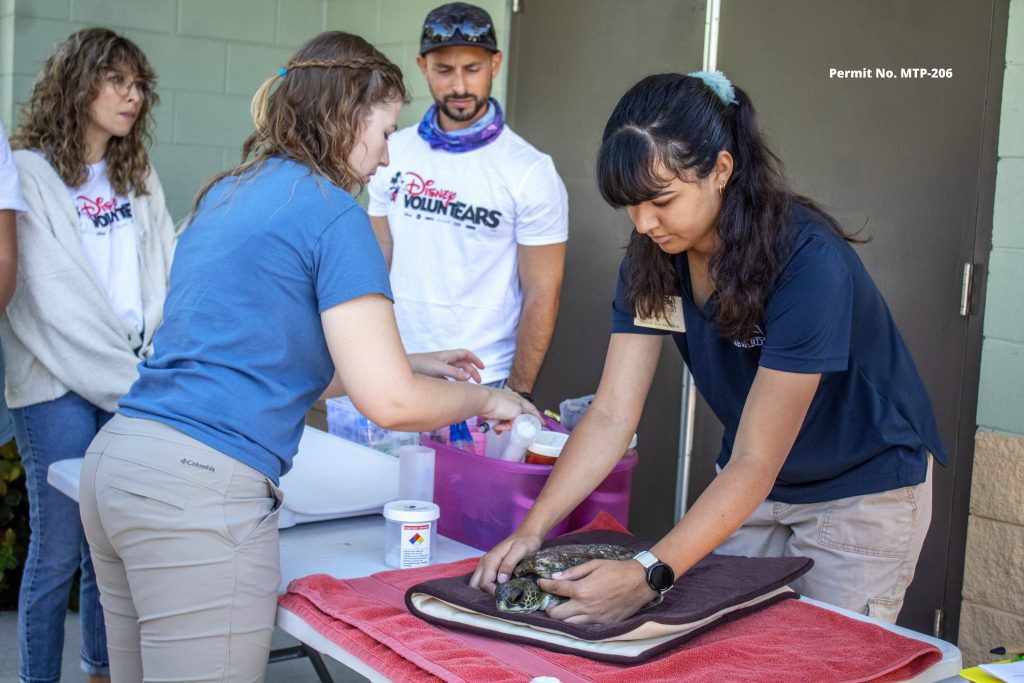 VoluntEARS put meals together for animals at the Brevard Zoo in Florida