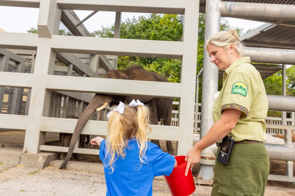 Wish kid Cora meets elephants at Disney's Animal Kingdom