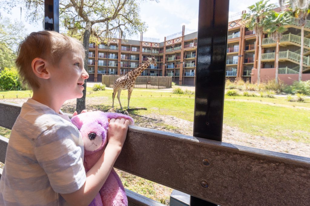 Wish kid sees animals at Disney's Animal Kingdom Lodge