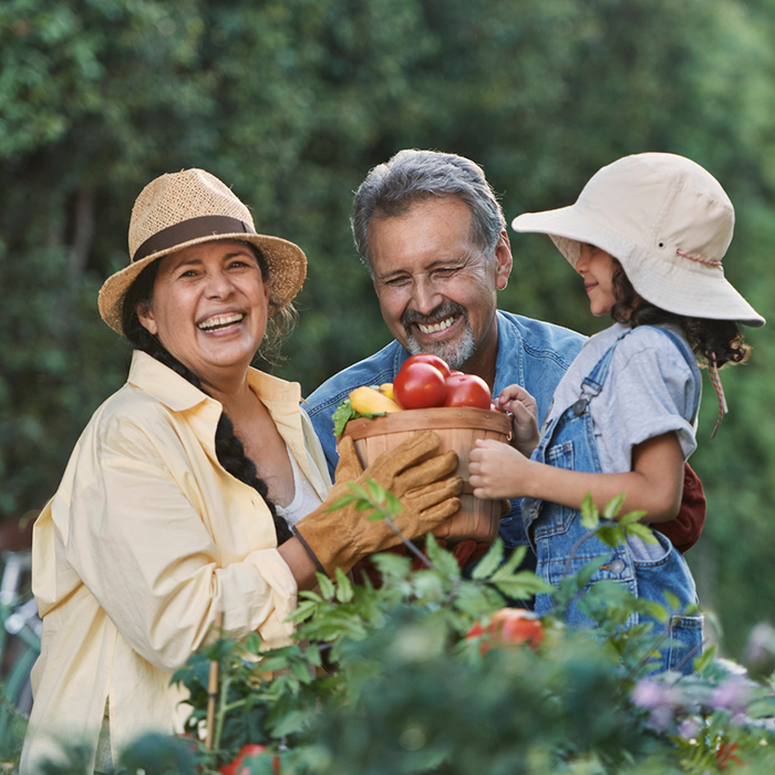 Family spending quality time picking vegetables