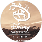 Disney Conservation Fund fact sheet cover photo
