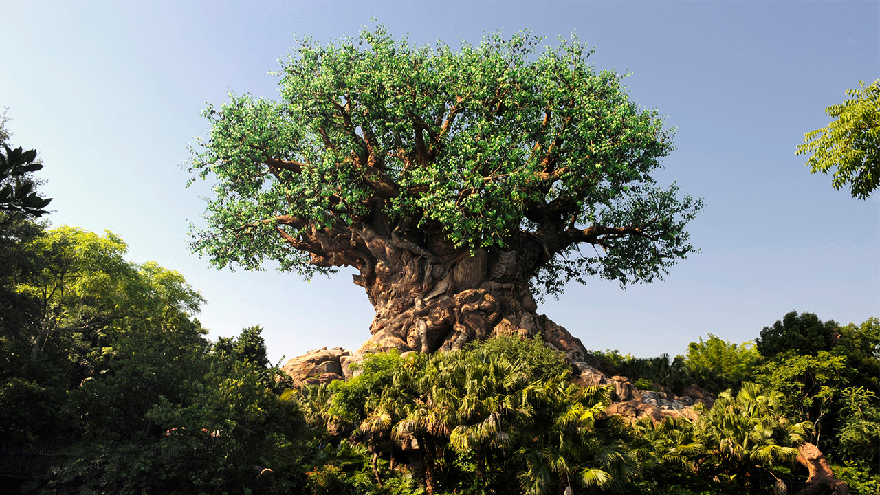 Disney’s Animal Kingdom Honors Two Decades of Wild Encounters With 20th Anniversary Celebration