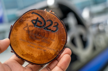 Piece of a tree from Mickey's Toontown marked with D23.