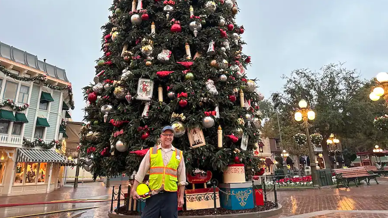 Martin standing in front of the tree on Main Street, U.S.A.