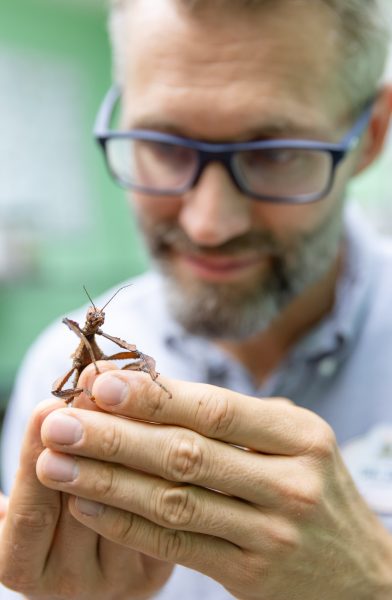 Dr. Zak working to protect animals and insects at Disney's Animal Kingdom.