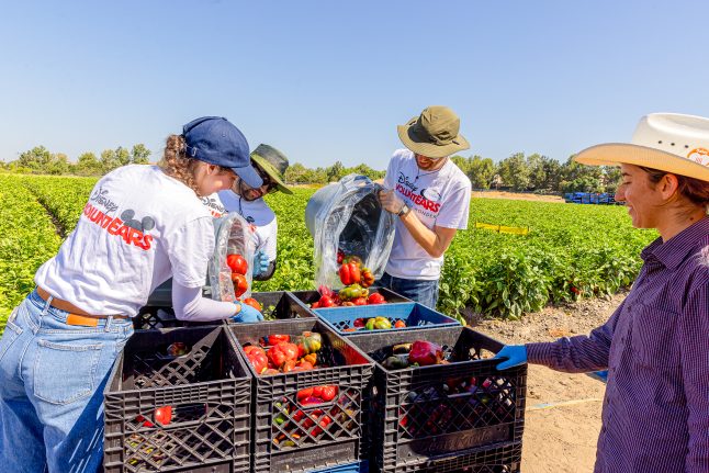 For Hunger Action Month, Disney VoluntEARS harvest produce to donate to people in need.